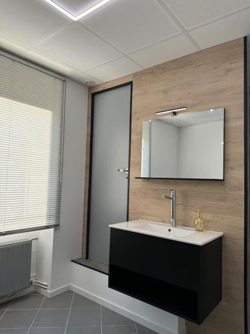 Appartement La Citadelle 贝尔福 外观 照片